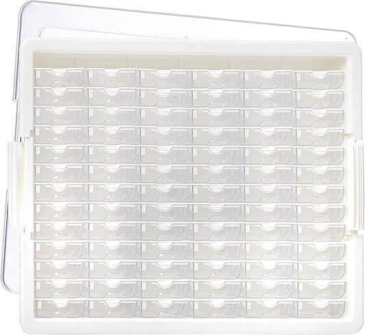 Bead Organizer with 78 Tiny Containers, a Tray and Lid for Beads